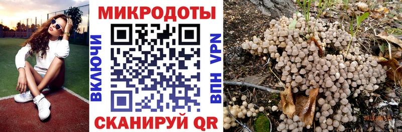 Галлюциногенные грибы Psilocybe  Чаплыгин 